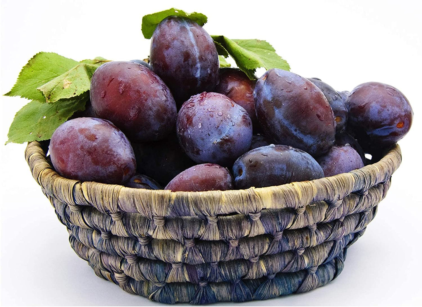 Mariani | Pitted Prunes | Dried Fruit | Healthy, Vegan, Gluten Free Snack for Kids & Adults | No Sugar Added | 32 Ounces (Pack of 1) - Resealable Bag