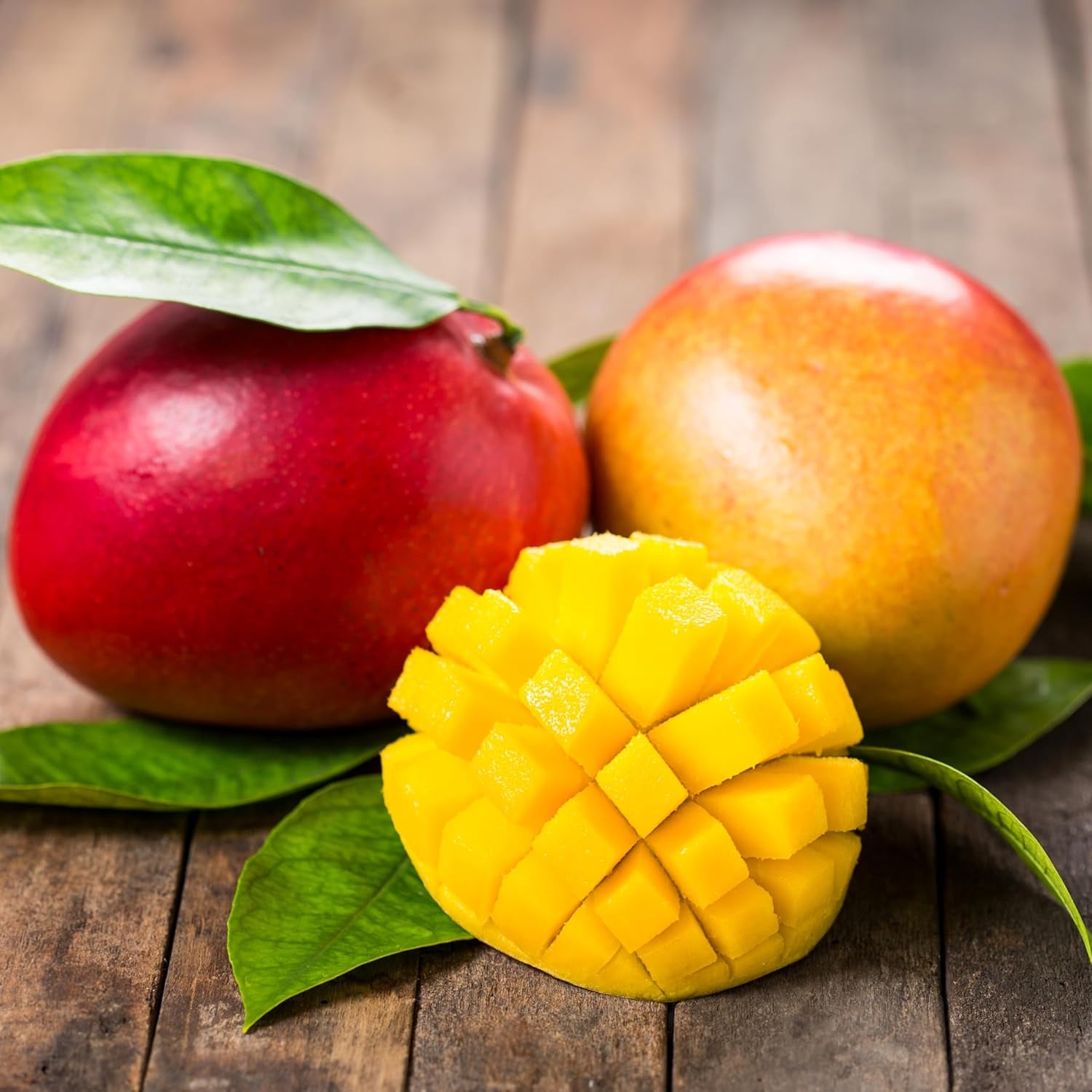 No Sugar Added Dried Mango Slices - 48 Oz Delicious Texture Soft & Juicy No Sugar Added Dried Mango - Naturally Ripened Mangos Dried Fruits - Gluten Free Kosher Non GMO Natural Source of Vitamin C,In Resealable Bag,3 Lbs - Big Mart USA