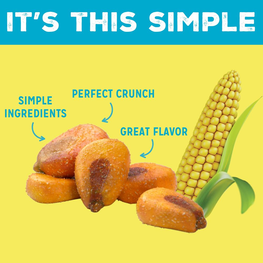 LOVE CORN Salt & Vinegar 0.7Oz X 20 Bags - Delicious Crunchy Corn - Healthy Family Snacks - Gluten Free, Kosher, NON-GMO - Alternative for Chips, Nuts, Crackers & Pretzels - Perfect for Charcuterie Boards - Big Mart USA
