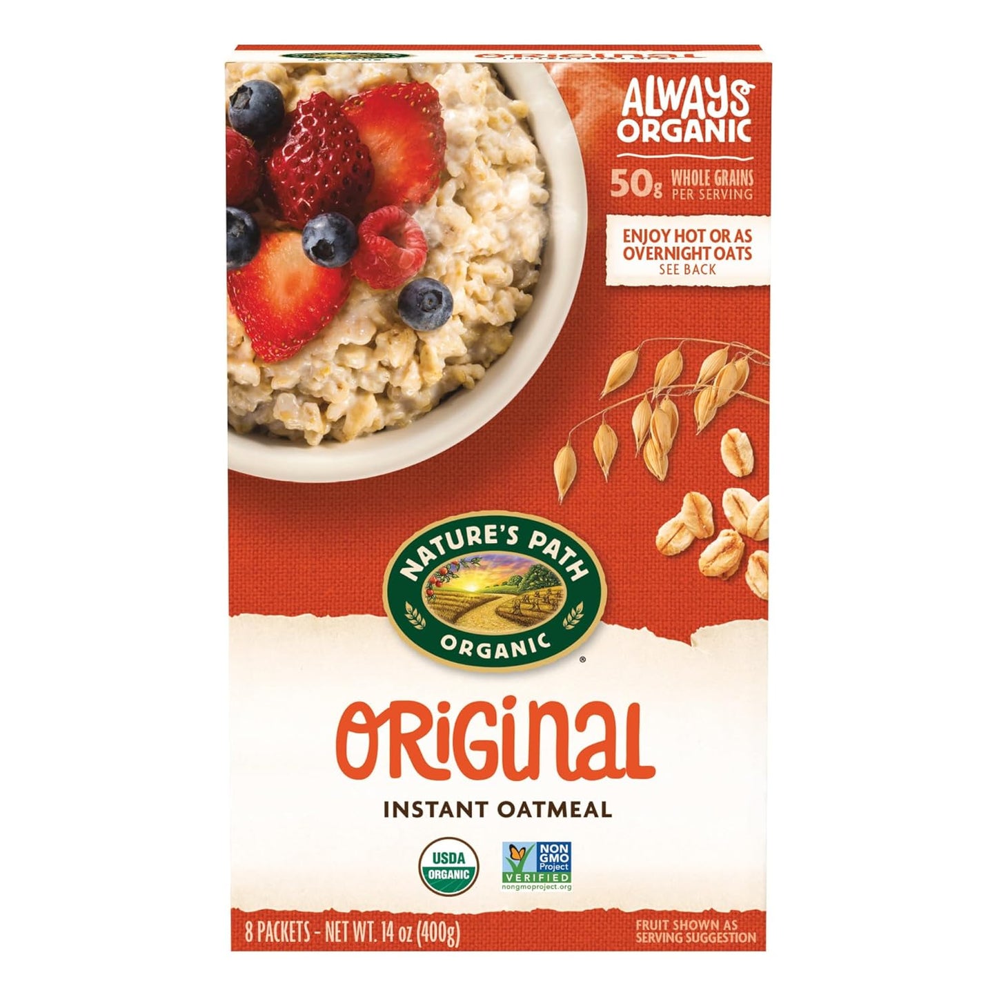 Nature'S Path Organic Apple Cinnamon Oatmeal, 14 Oz (Pack of 6), Non-Gmo - Big Mart USA
