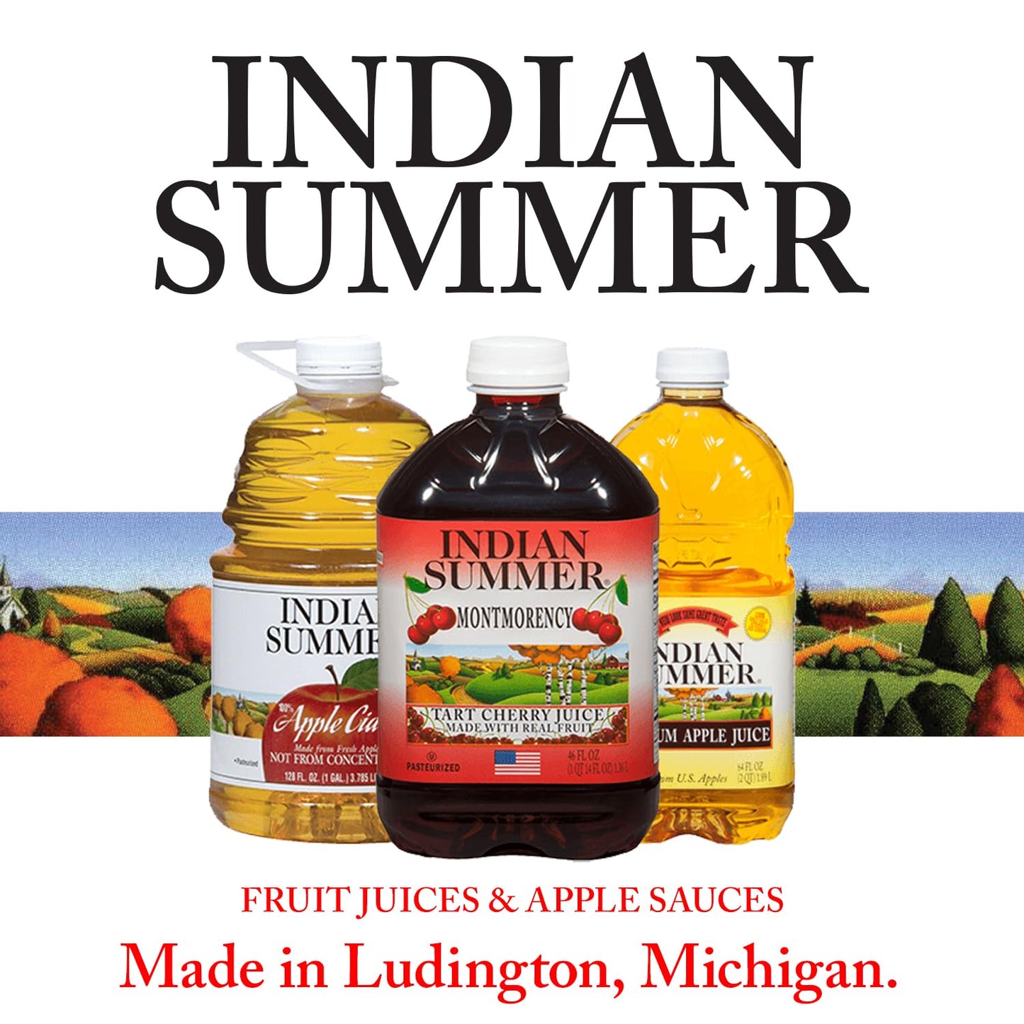 Indian Summer Chunky Peach Applesauce, 23 Ounce (Pack of 6)