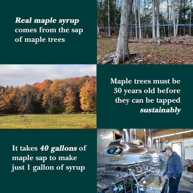 Vermont Maple Syrup - 32 Oz Grade A, Amber Rich Organic Maple Syrup - 100% Pure and Authentic Maple Syrup for Pancakes, Waffles and More - Nut Free, Gluten Free, Vegan, Paleo