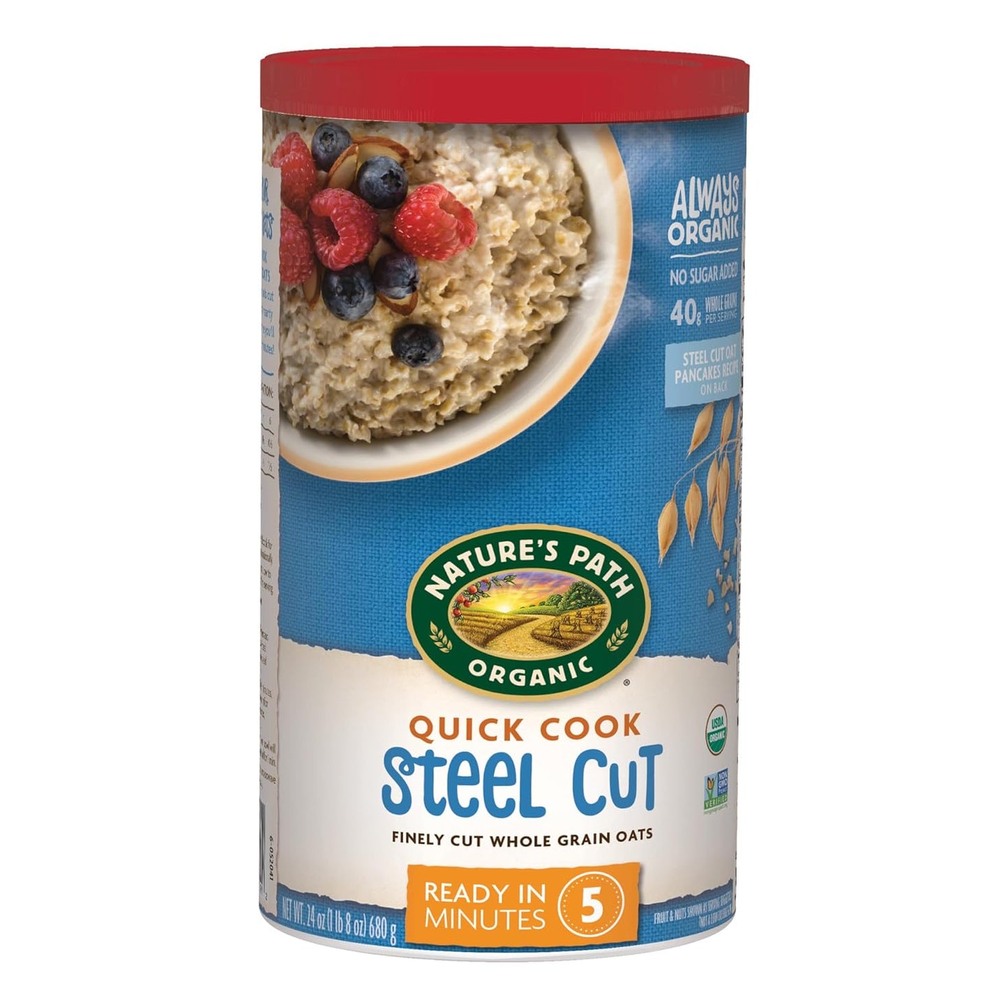 Nature'S Path Organic Quick Cook Instant Oatmeal, 18 Oz (Pack of 6), Non-Gmo