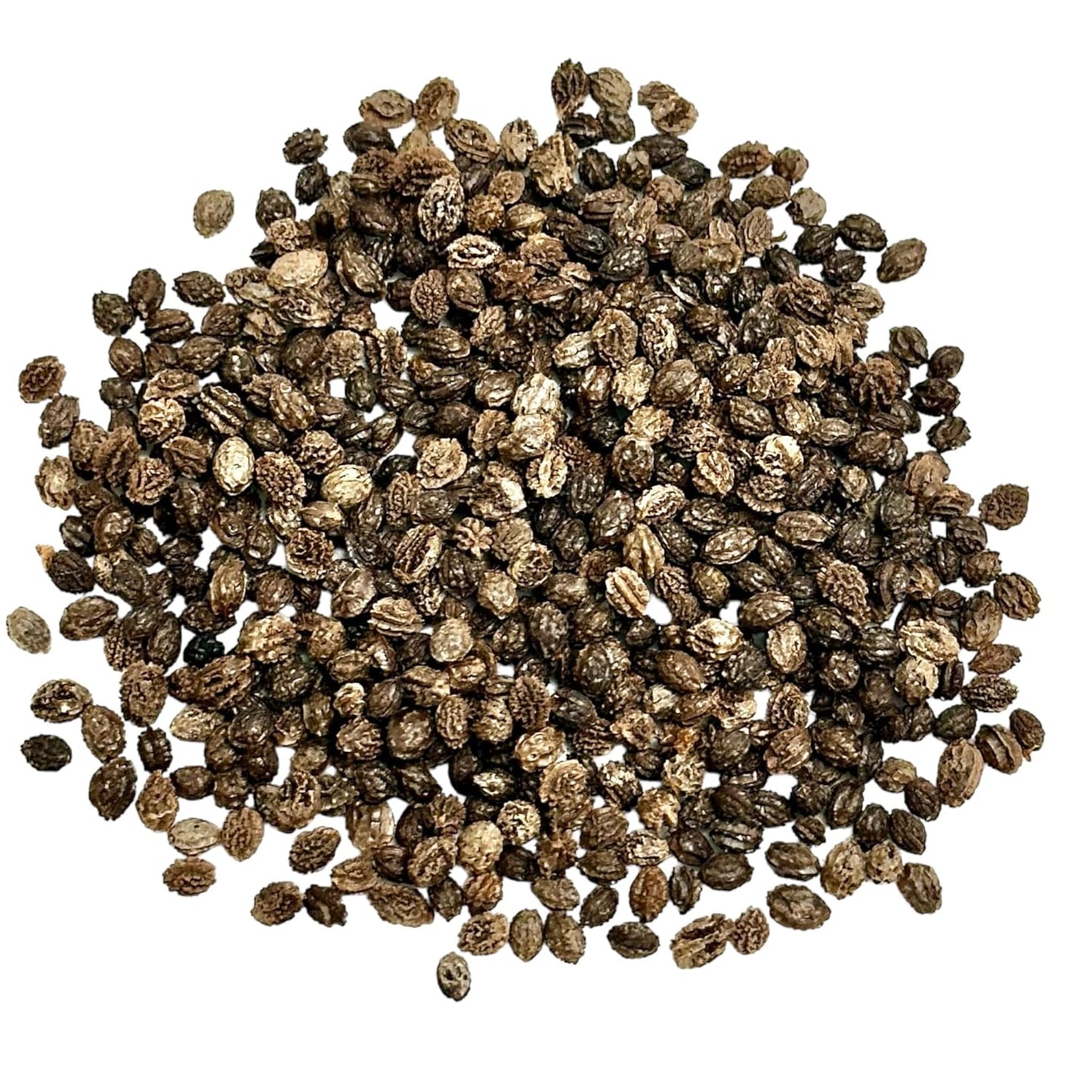 Papaya Seeds, Dried Whole Seeds, 1 Oz (28 G), Raw, Natural (1 Ounce (28 Grams)) - Big Mart USA