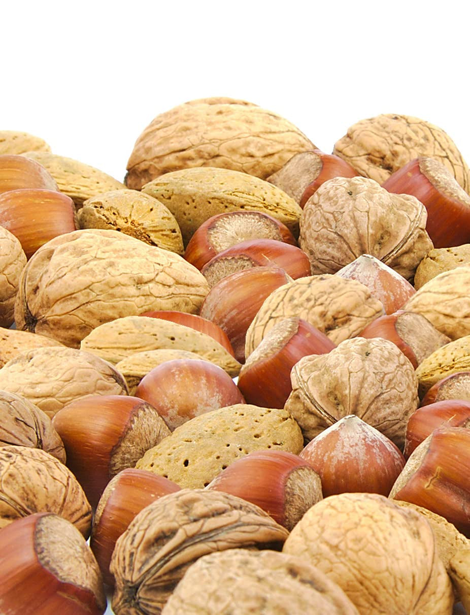 Anna and Sarah Premium Mixed Nuts in Shell, California Jumbo Chandler Walnuts, Extra Large Pecans, California Almonds, Large Oregon Hazelnuts (NO BRAZIL NUT), 6 Lbs - Big Mart USA