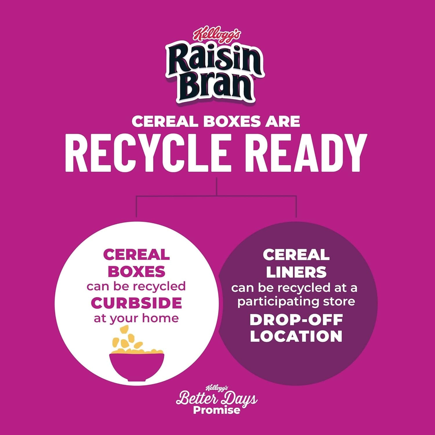 Kellogg's Original Raisin Bran Breakfast Cereal, 1.52 oz (70 Count) - Big Mart USA