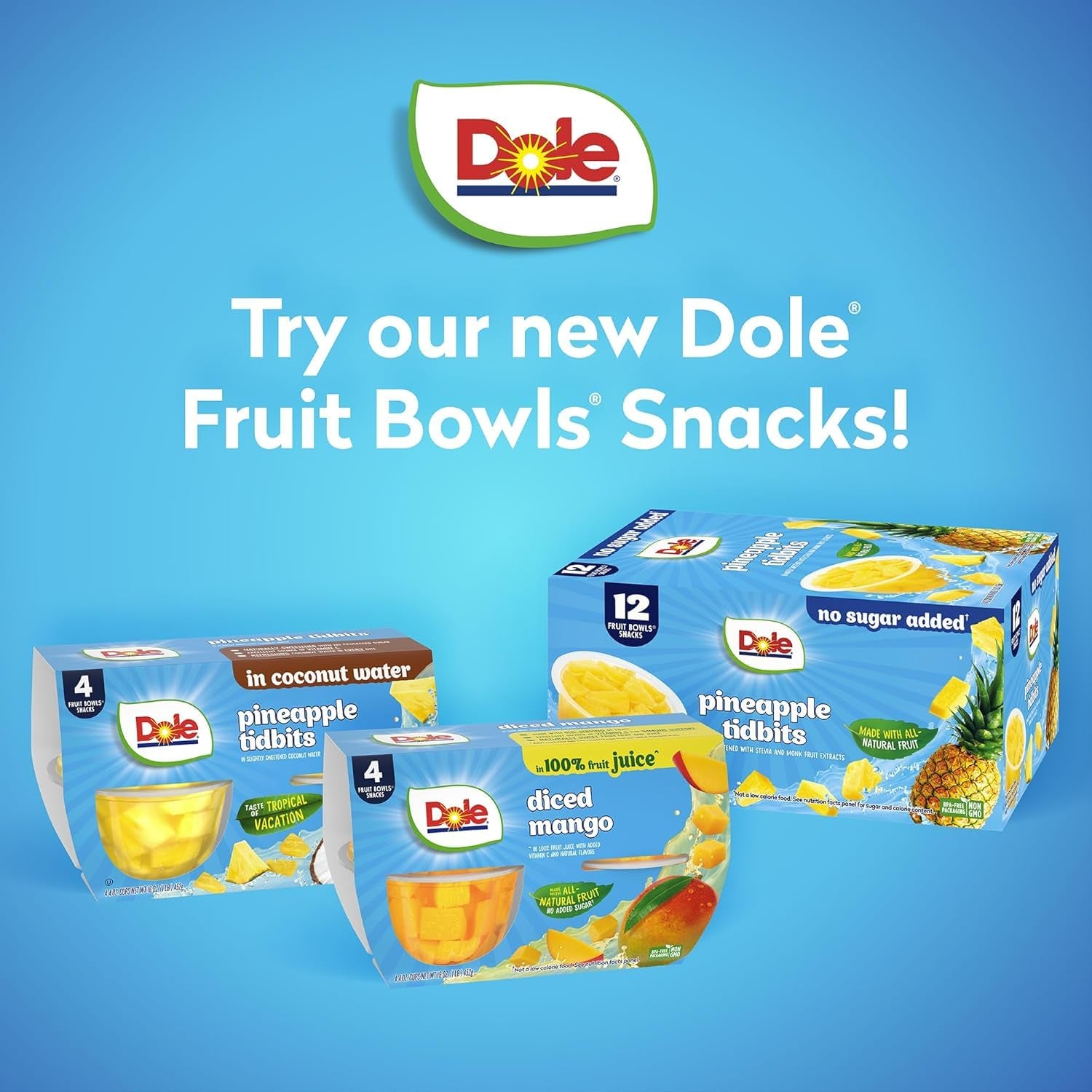 Dole Pineapple Tidbits with No Sugar Added - Dole Fruit Bowls Snacks - 4 Oz Fruit Bowls - 12 Pack - Big Mart USA