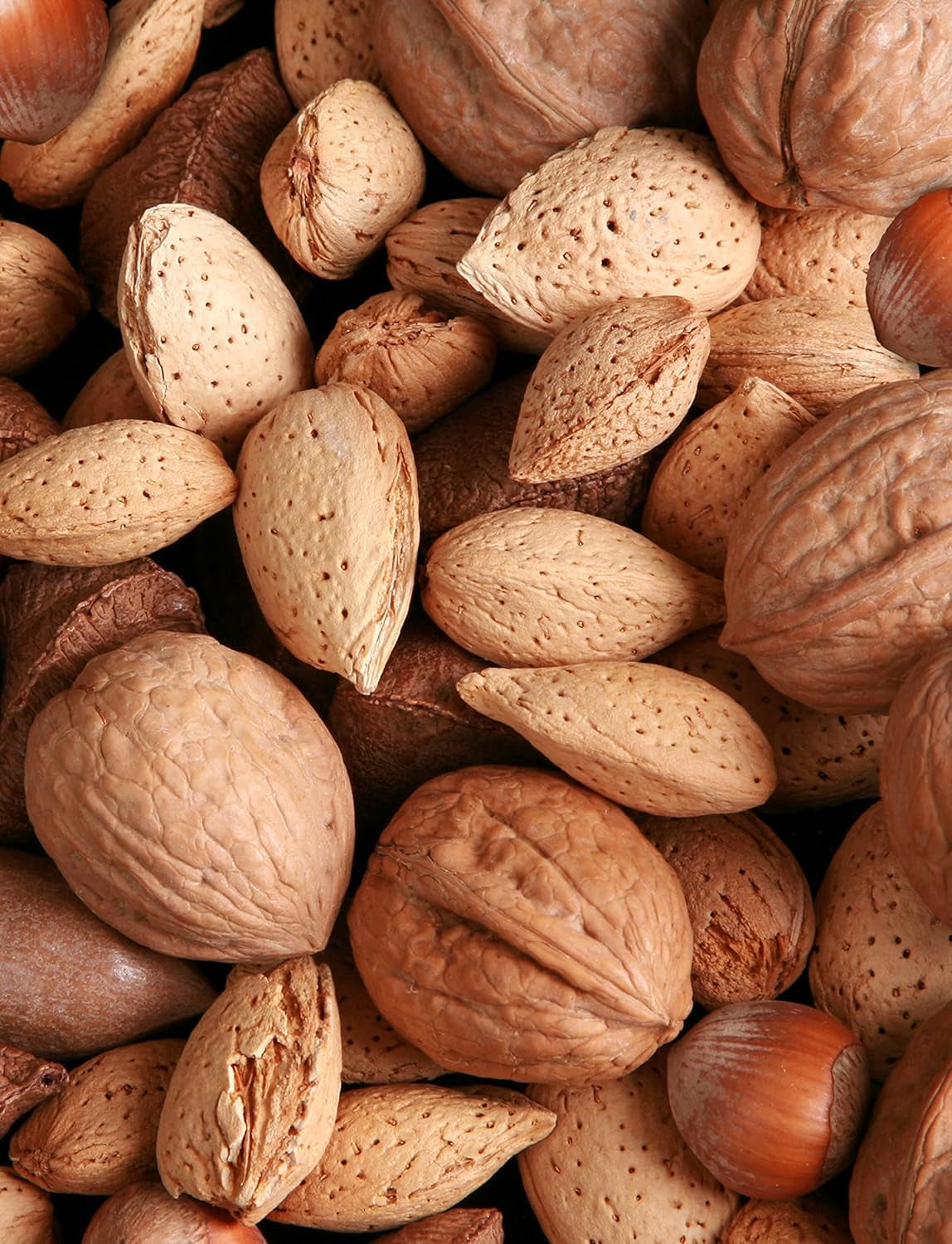 Anna and Sarah Premium Mixed Nuts in Shell, California Jumbo Chandler Walnuts, Extra Large Pecans, California Almonds, Large Oregon Hazelnuts (NO BRAZIL NUT), 6 Lbs - Big Mart USA