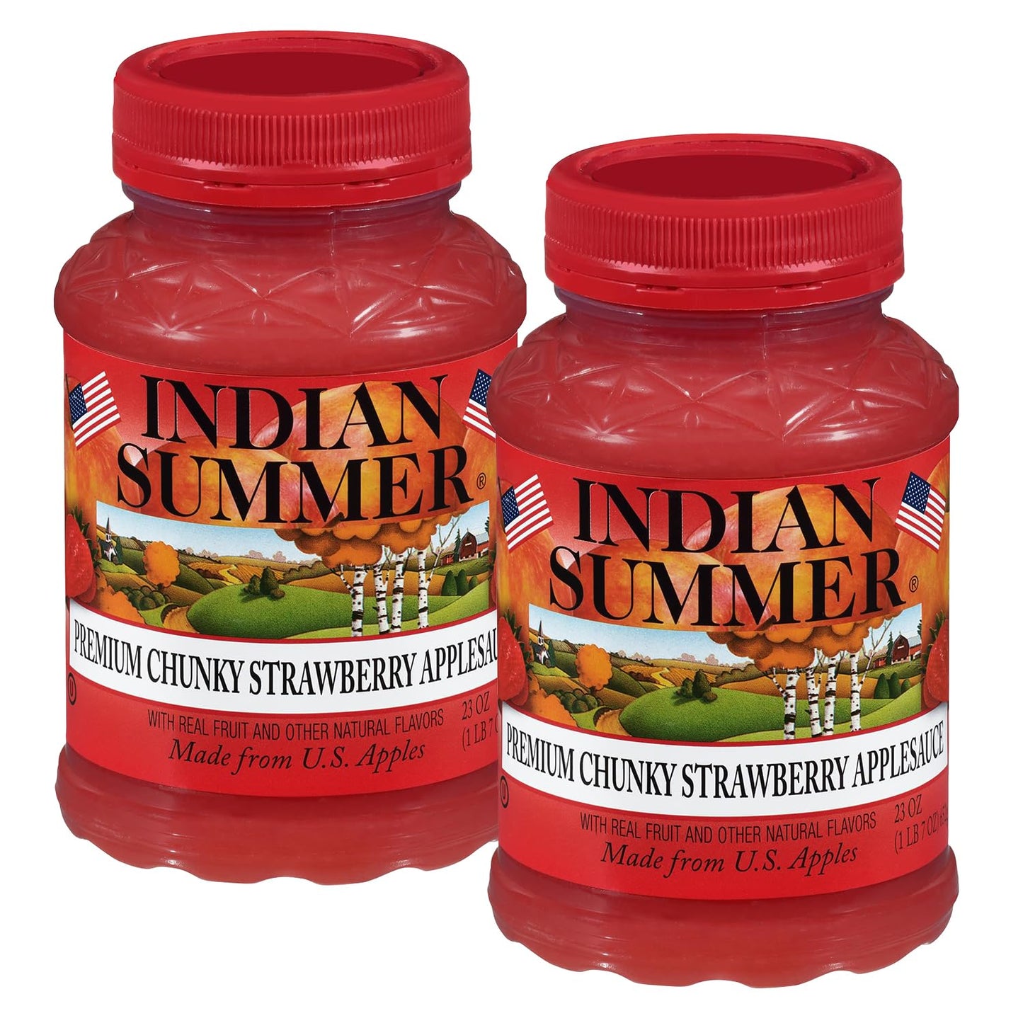 Indian Summer Chunky Peach Applesauce, 23 Ounce (Pack of 6)
