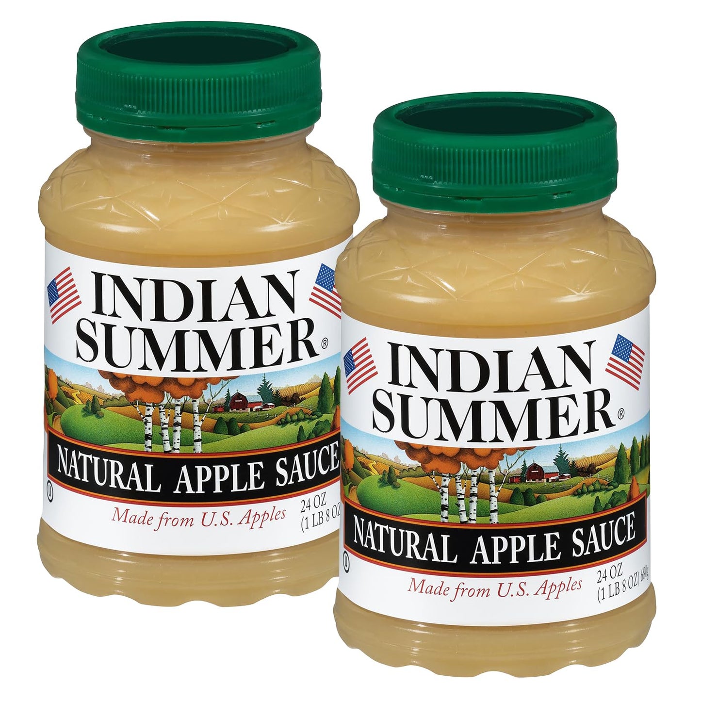 Indian Summer Chunky Peach Applesauce, 23 Ounce (Pack of 6)