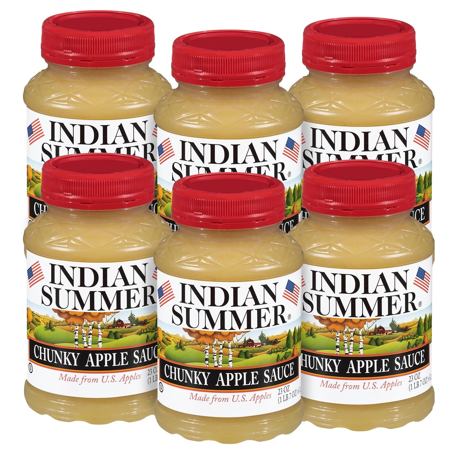 Indian Summer Chunky Peach Applesauce, 23 Ounce (Pack of 6)