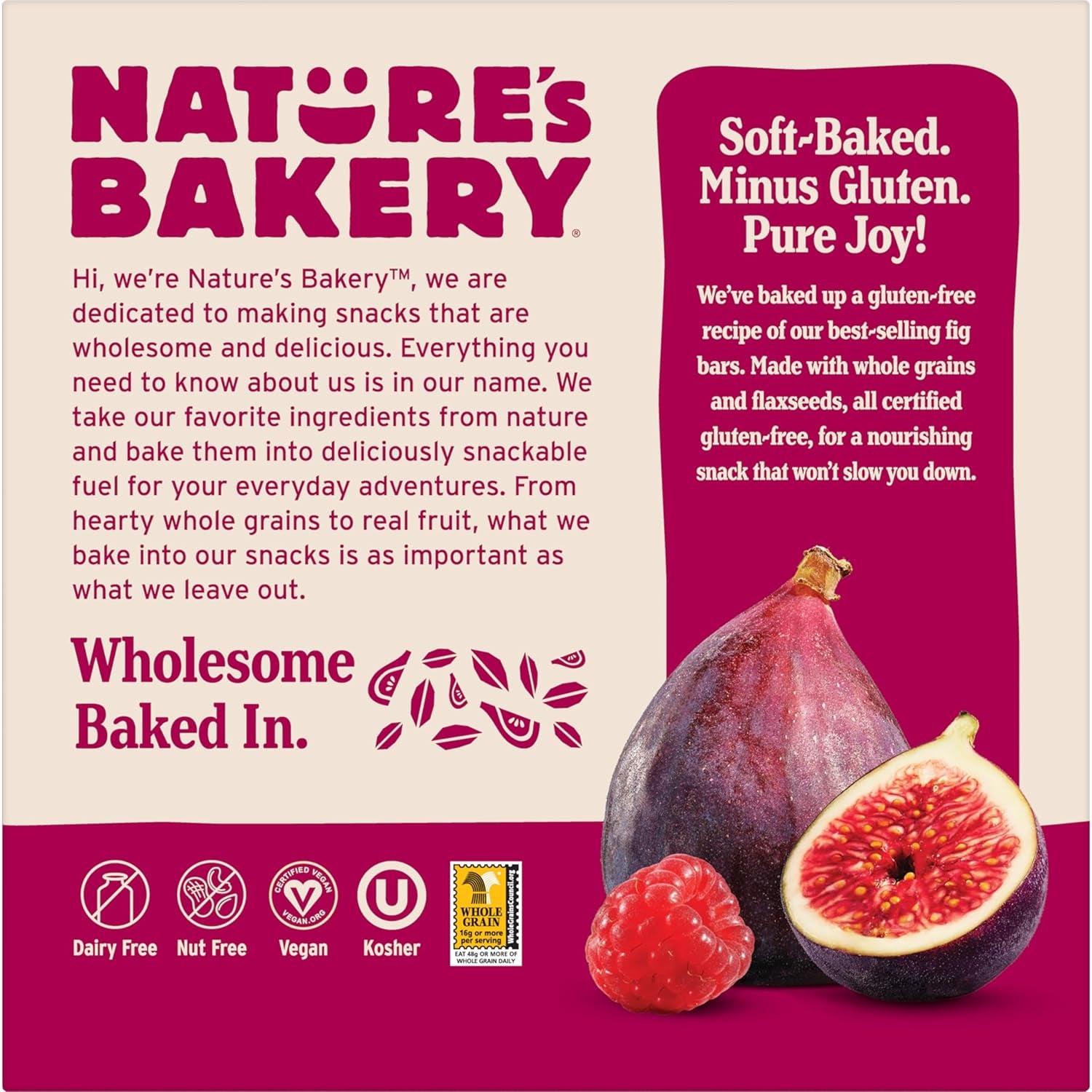 Nature’S Bakery Gluten Free Fig Bars, Raspberry, Real Fruit, Vegan, Non-Gmo, Snack Bar, 6 Boxes with 6 Twin Packs (36 Twin Packs) - Big Mart USA