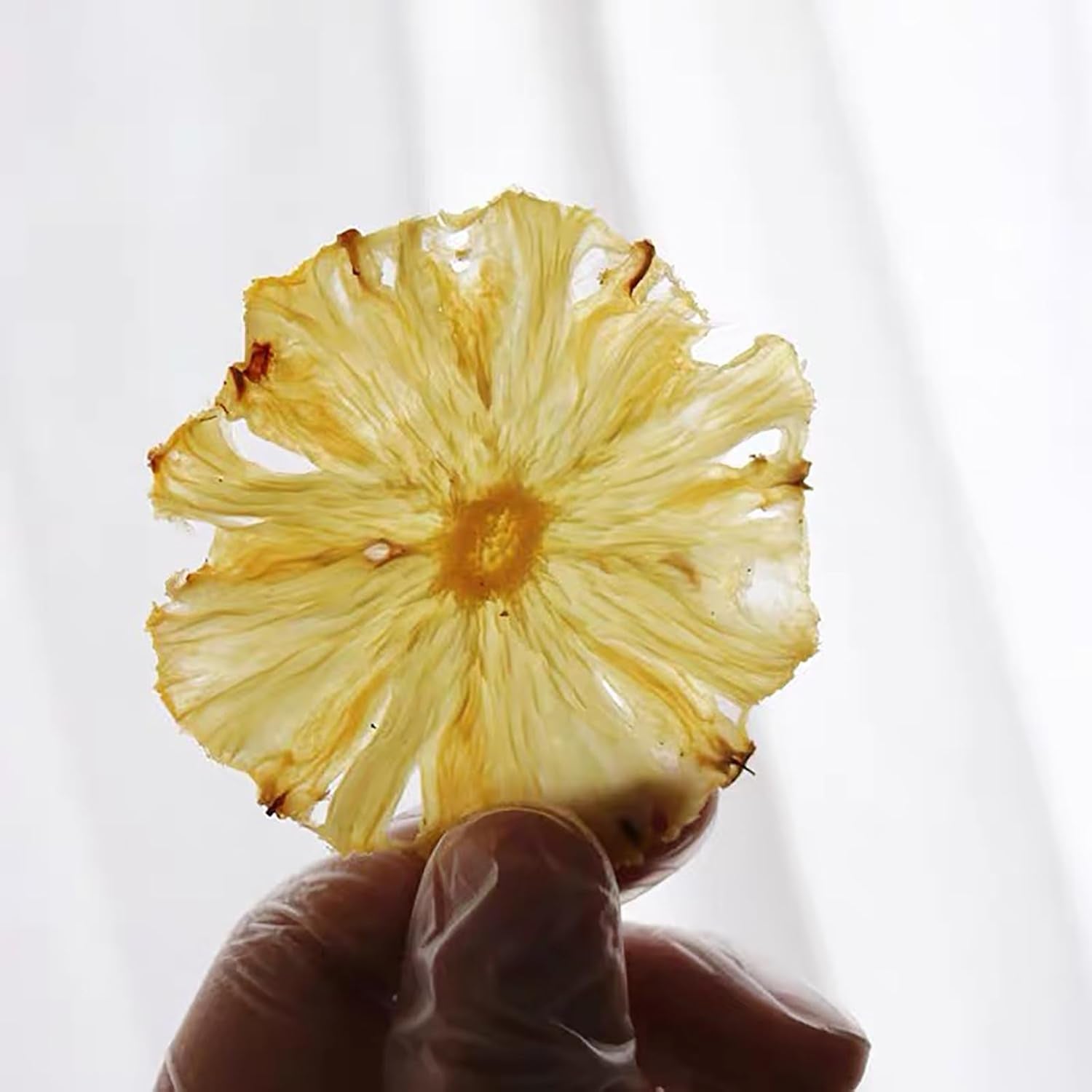 TXDYNLLK Dried Pineapple Slices - Dehydrated Pineapple for Cocktail Garnish, Drinks, Baking, and Fruit Tea - No Sugar, No Sulphur - Edible Pineapple Flowers Snacking 3.53Oz(100G) - Big Mart USA