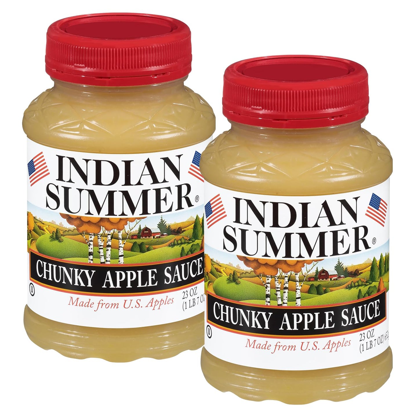 Indian Summer Chunky Peach Applesauce, 23 Ounce (Pack of 6)