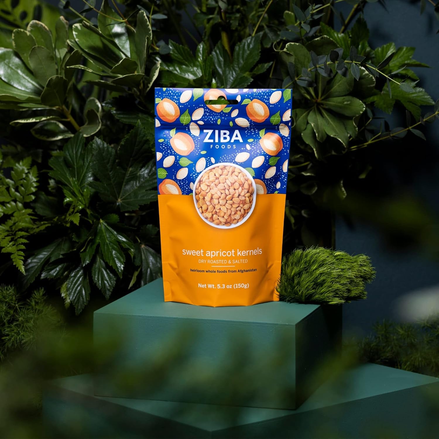 Ziba Foods Sweet Apricot Kernels | 5.3 Oz | Non-Gmo & Vegan Dried Apricot Seeds Whole 30 Friendly & Keto, Paleo, Dry Roasted Superseed | Wild Grown Apricot Kernel High in Protein and Omega 3S - Big Mart USA