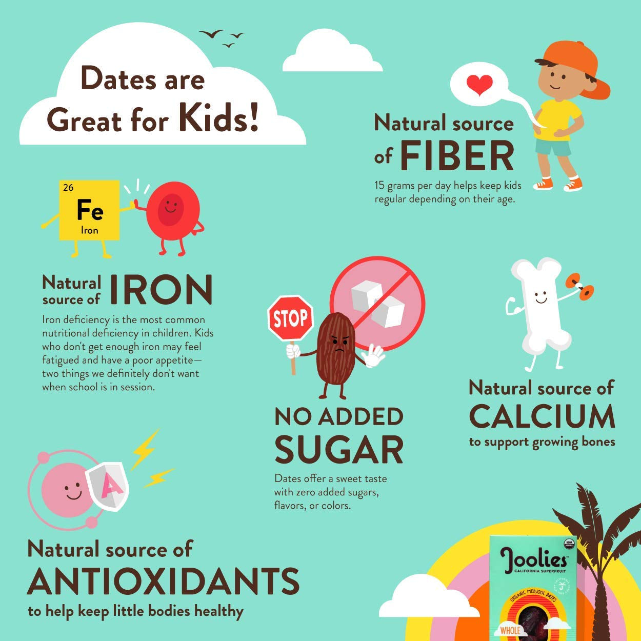Joolies Organic Medjool Date Snack Pack | 3 Pit-Free Dates, 12 Pack | Fresh California Grown Fruit | Vegan, Gluten-Free, Paleo, No Added Sugar | Single Serve, Great for Kids, Snacking & Dessert - Big Mart USA