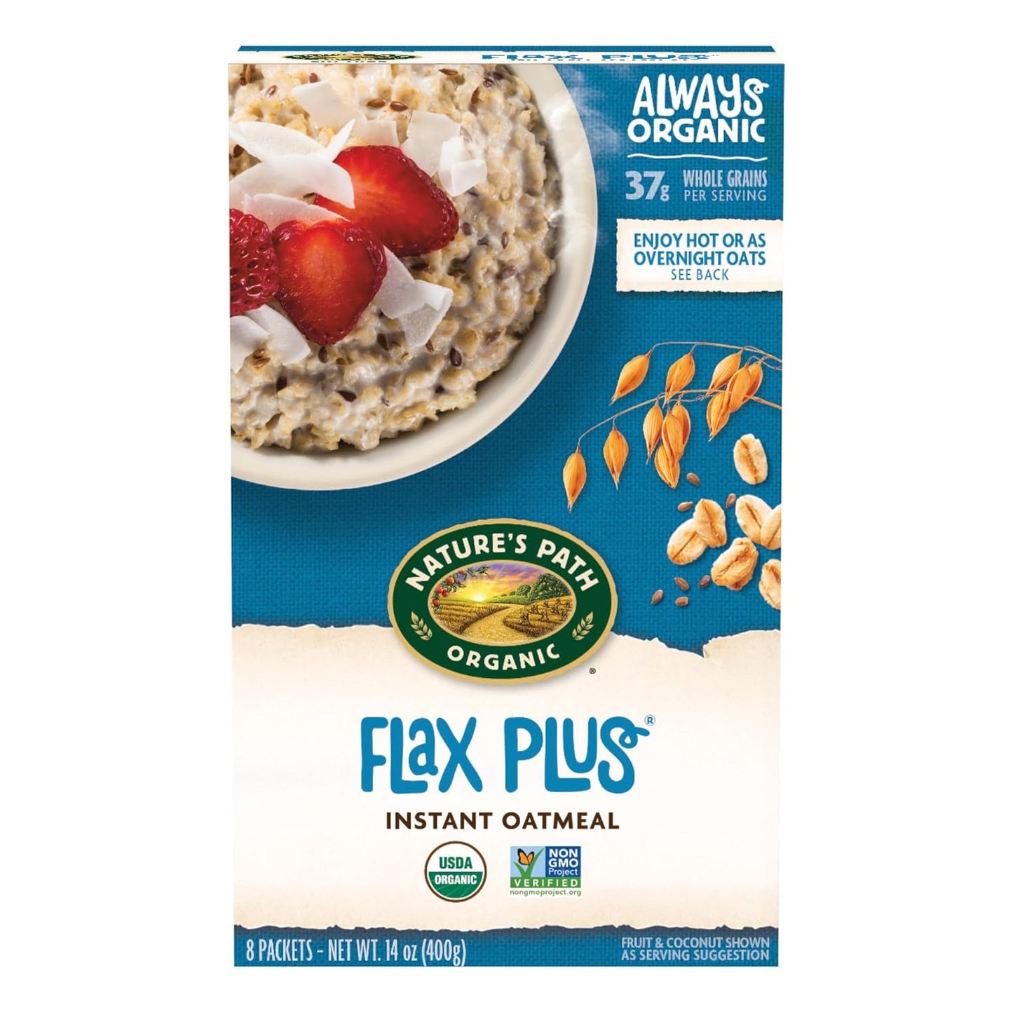 Nature'S Path Organic Apple Cinnamon Oatmeal, 14 Oz (Pack of 6), Non-Gmo - Big Mart USA