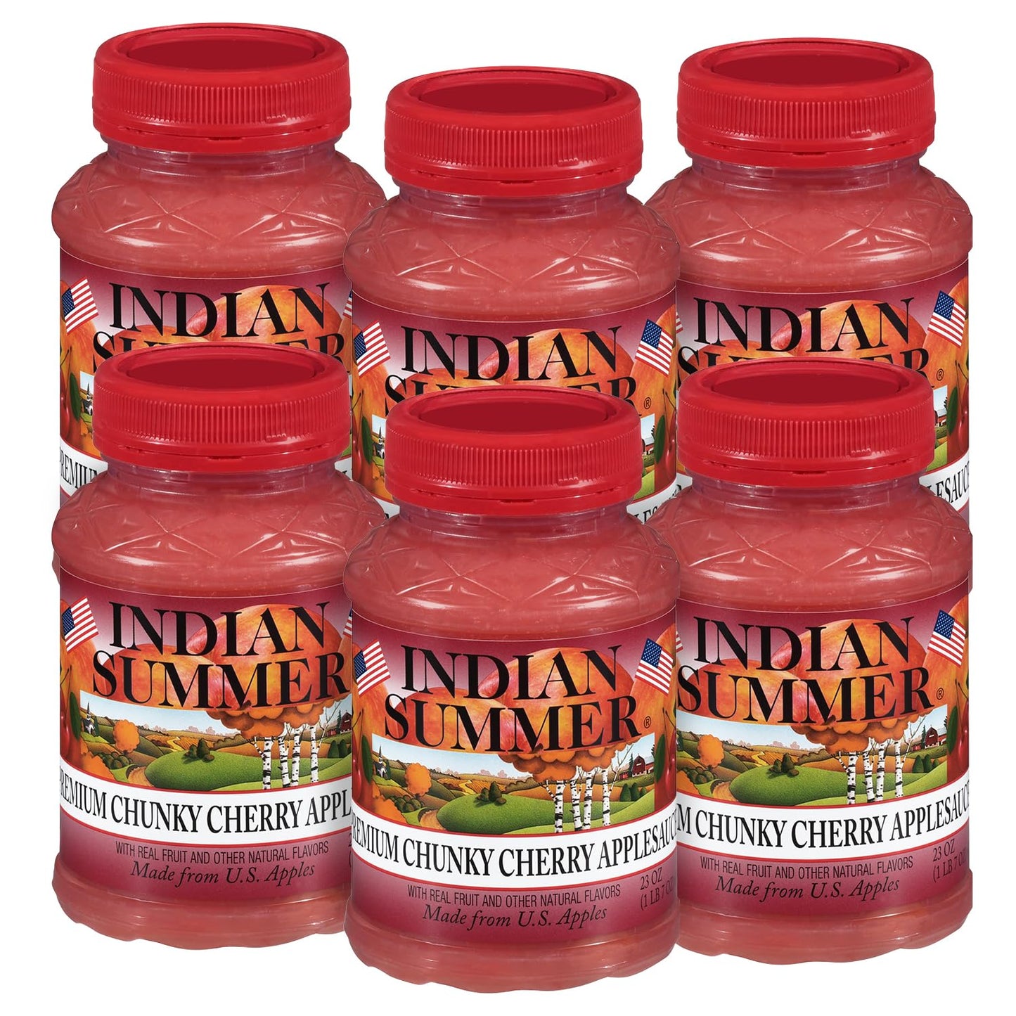 Indian Summer Chunky Peach Applesauce, 23 Ounce (Pack of 6)
