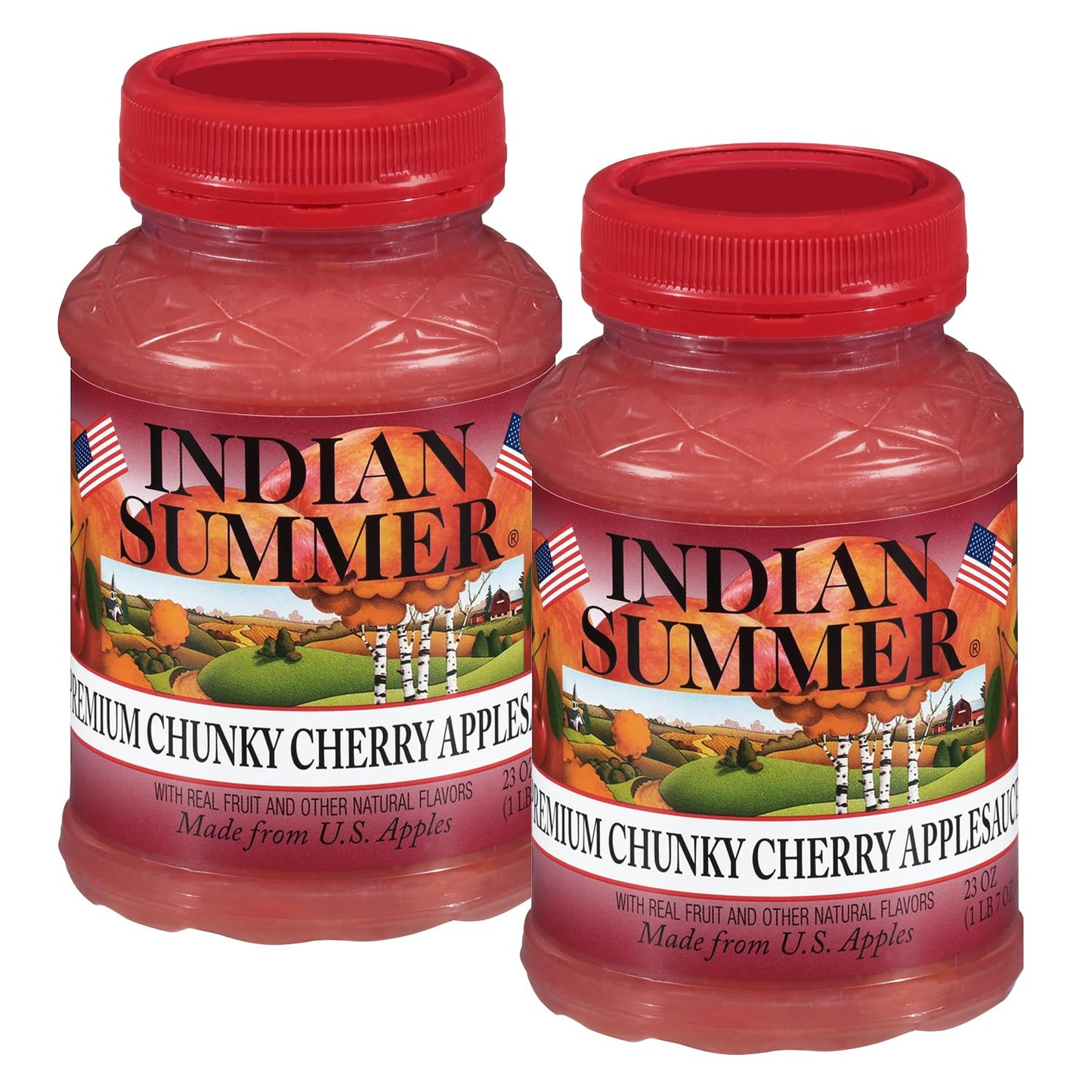 Indian Summer Chunky Peach Applesauce, 23 Ounce (Pack of 6)