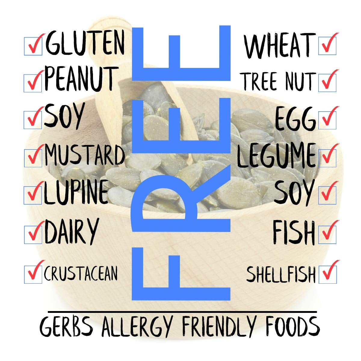 Gerbs Lightly Sea Salted Pumpkin Seed Kernels 1 Lb. | Small Batch Roasted, No Additives, Resealable Bag | Crunchy & Savory | Top 14 Allergen-Free