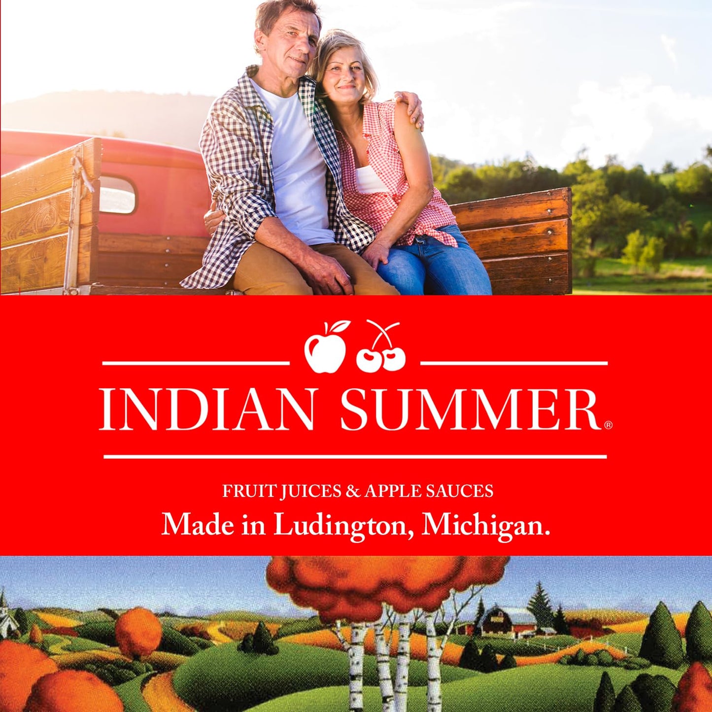 Indian Summer Chunky Peach Applesauce, 23 Ounce (Pack of 6)